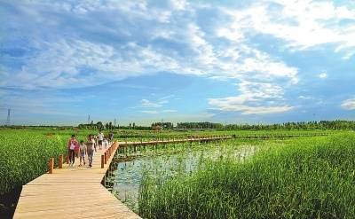 濮阳湿地公园