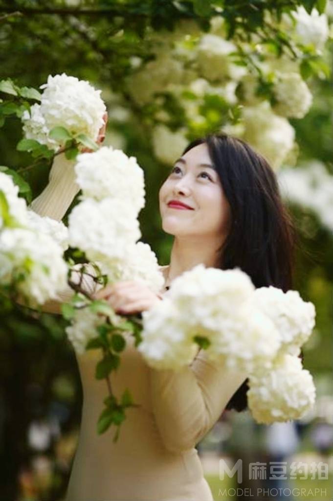 清新模特