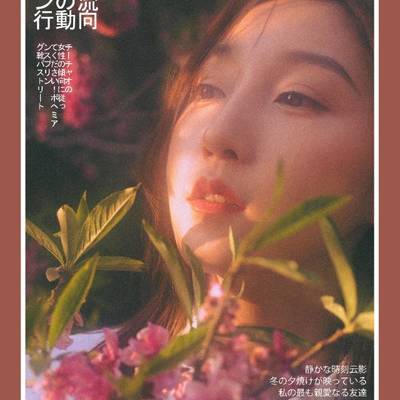 胶片模特