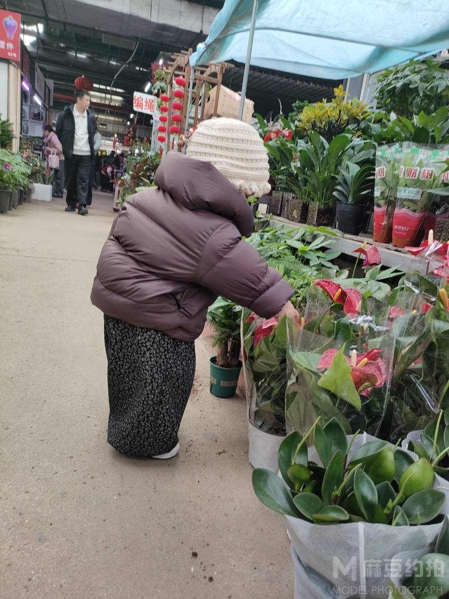 森系模特