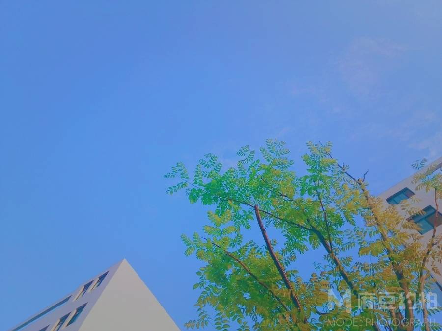 清新模特