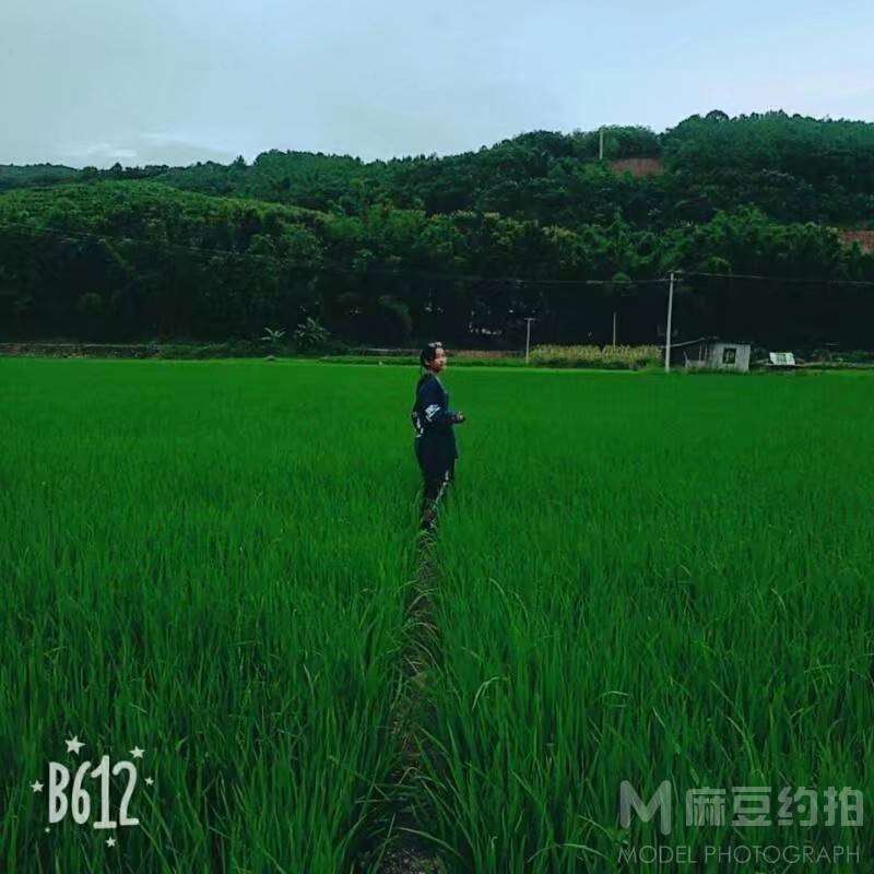校园模特