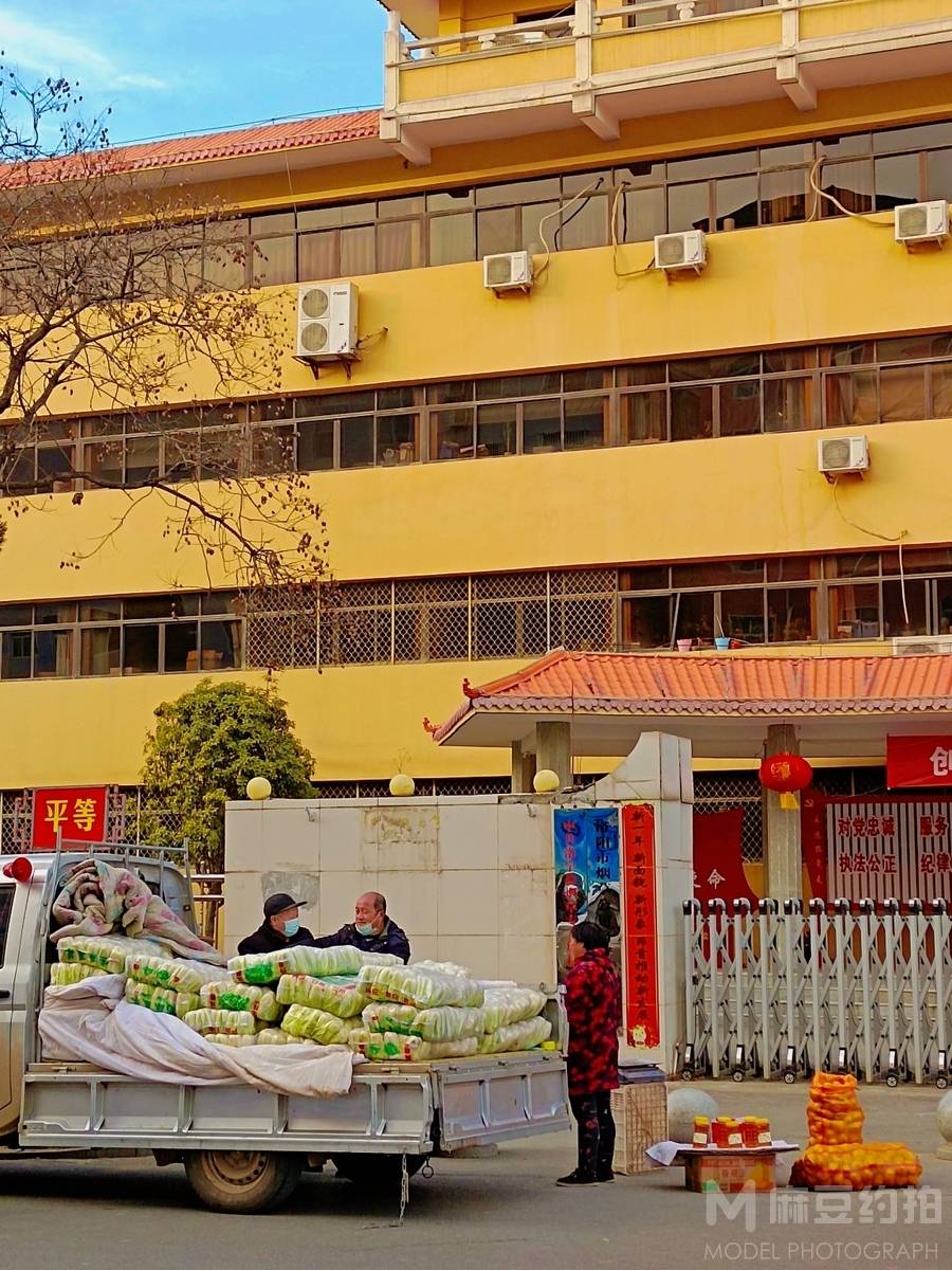 纪实模特