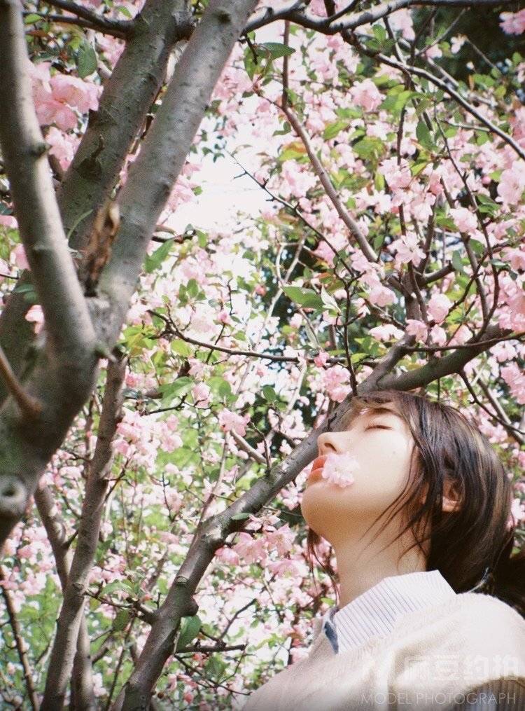 胶片模特