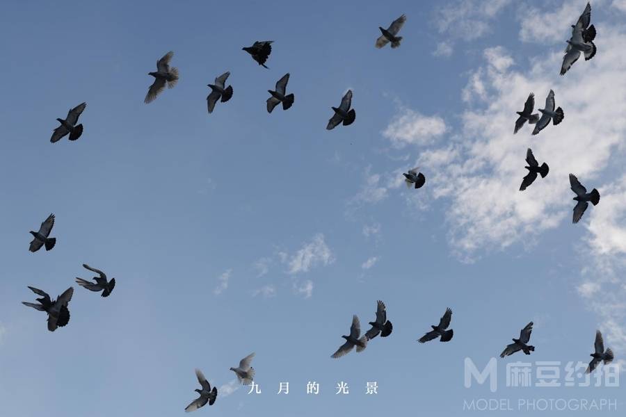 纪实模特