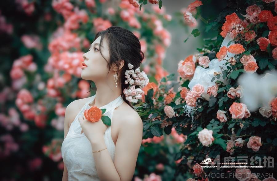 清新模特