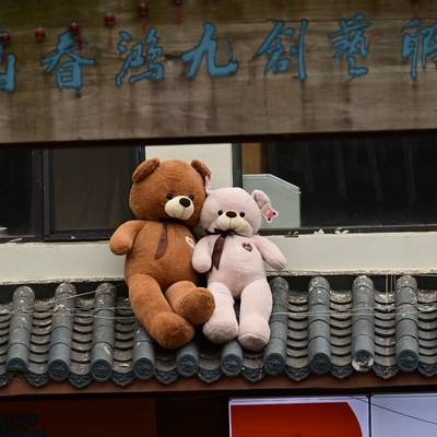 纪实模特