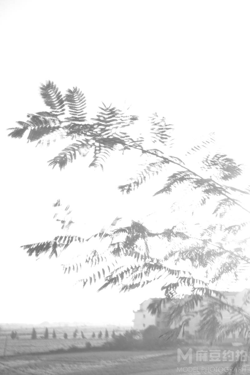 黑白模特