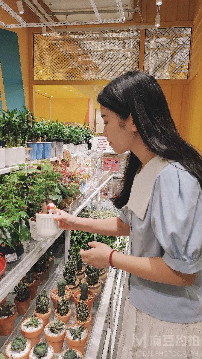 清新模特