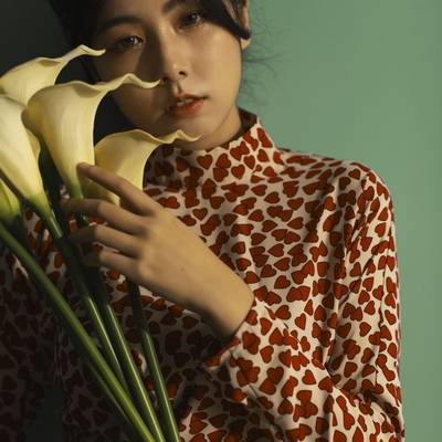 胶片模特