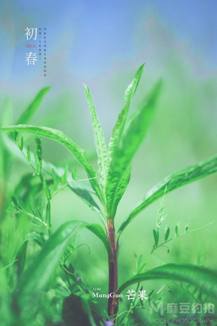 森系模特