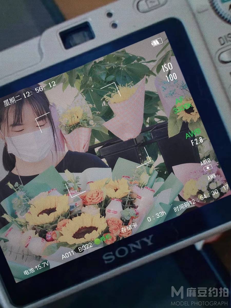 商务模特