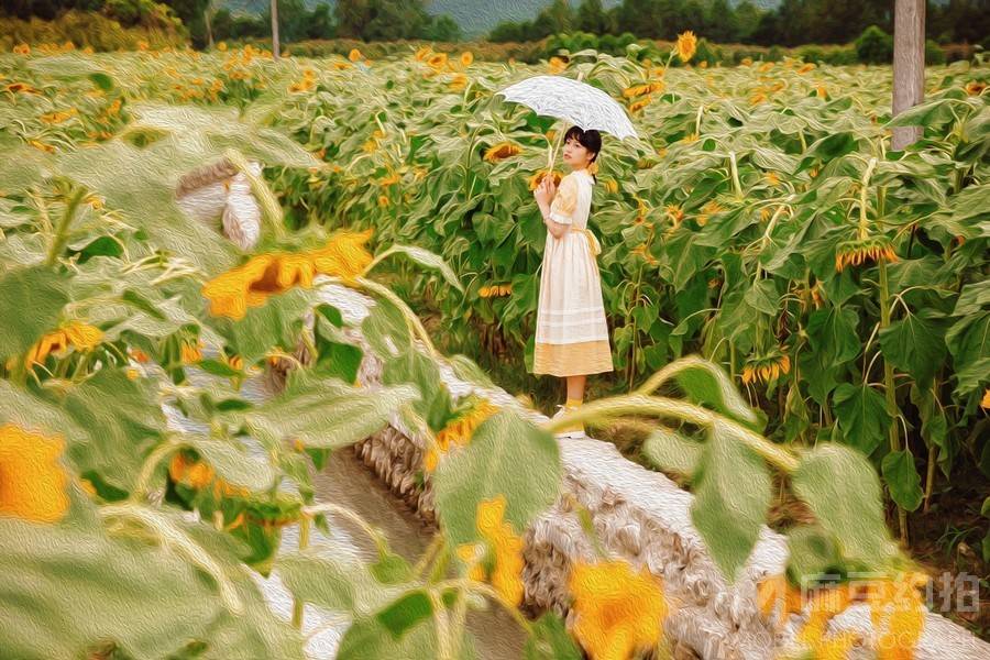 少女模特
