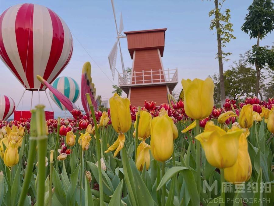 时尚模特