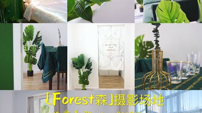 [Forest森]民宿拍摄场地