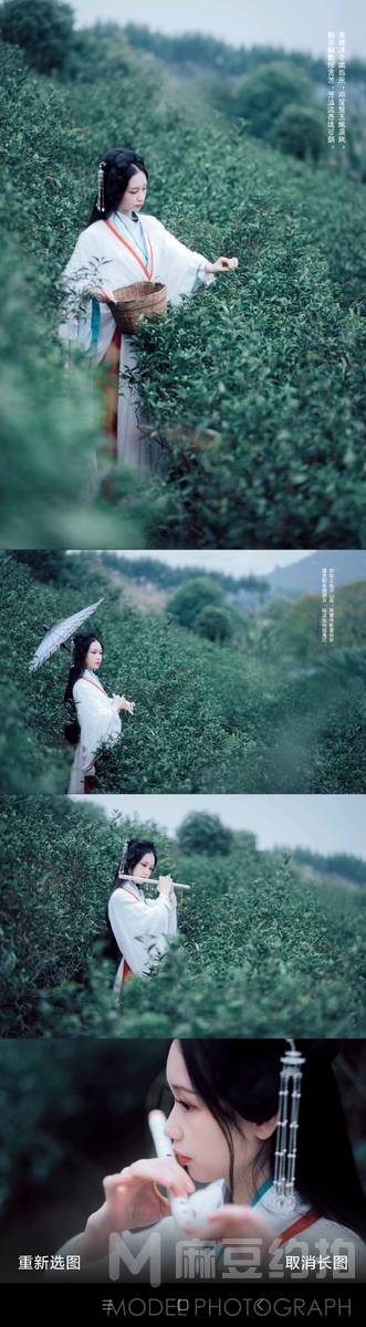 清新模特