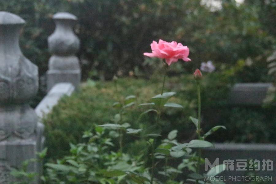 纪实模特