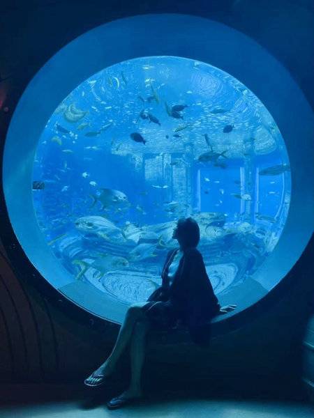 纪实模特