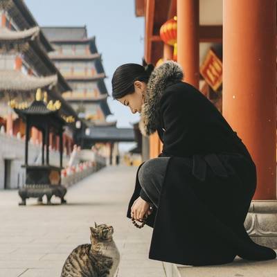 情绪模特
