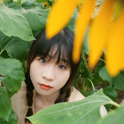 清新模特