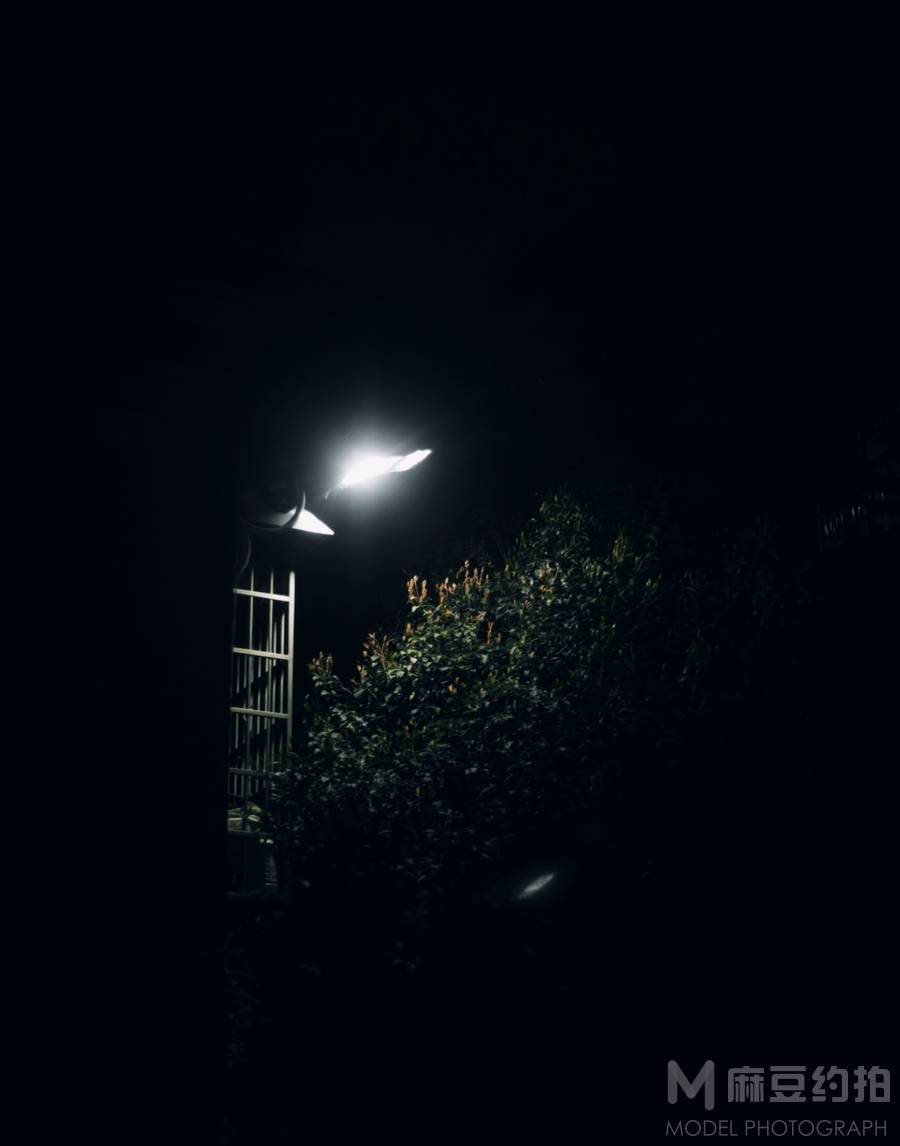 黑白模特