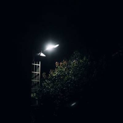 黑白模特