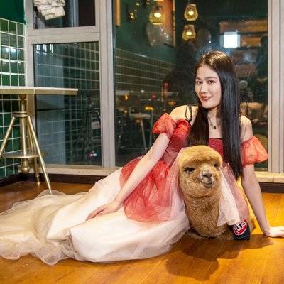 时尚模特