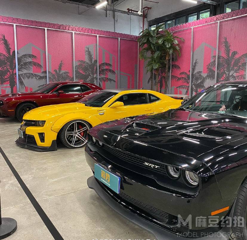 胶片模特