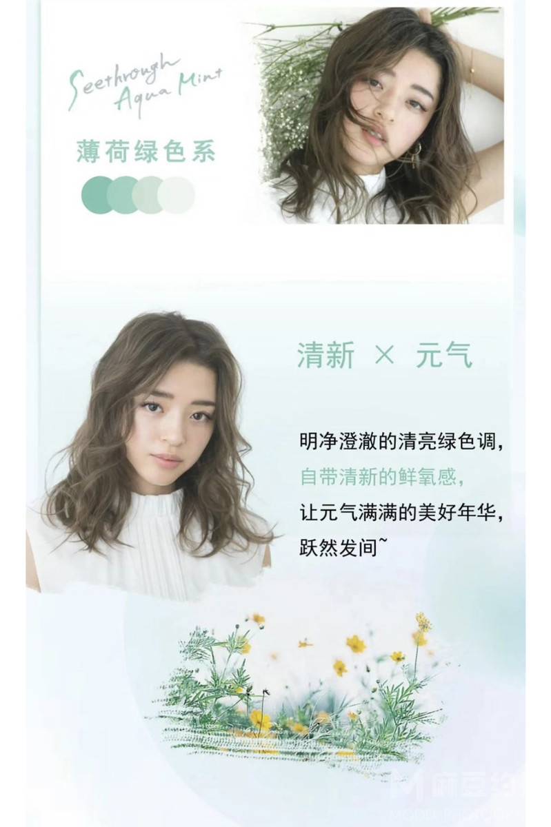 清新模特