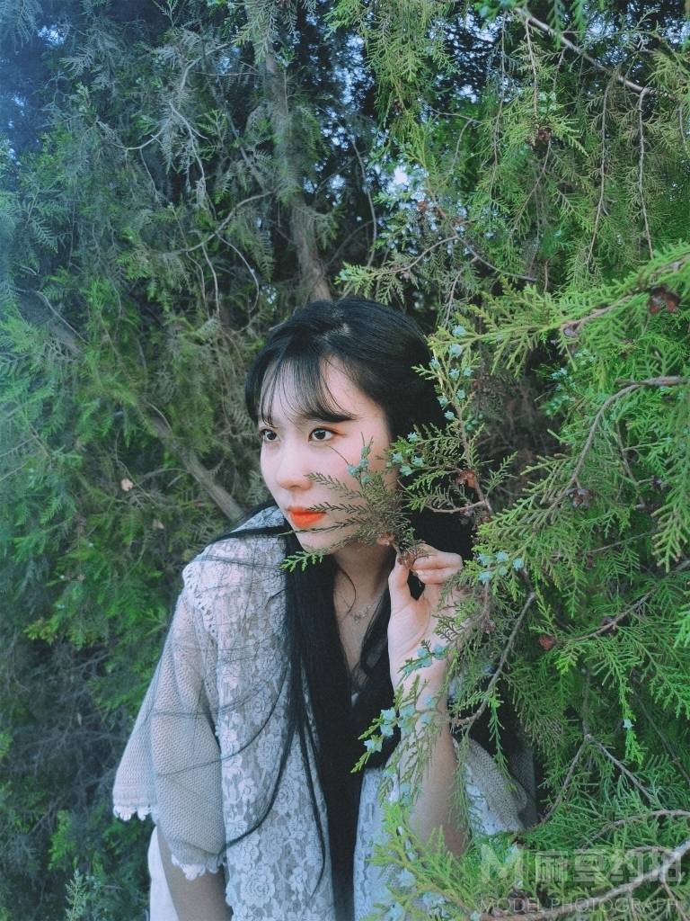 清新模特