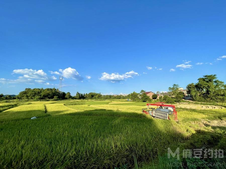 纪实模特