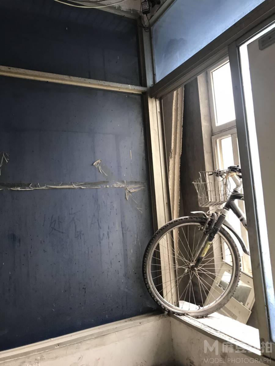 宝丽来模特