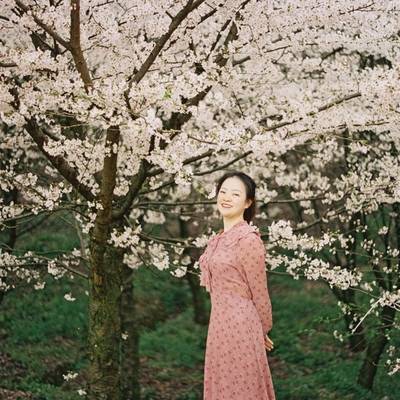 胶片模特