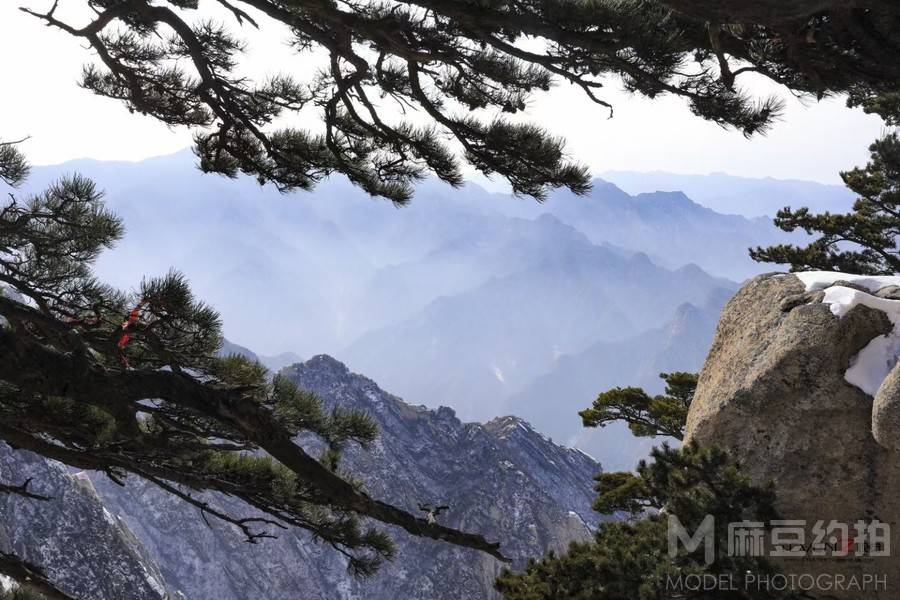 纪实模特