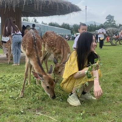 淘宝模特