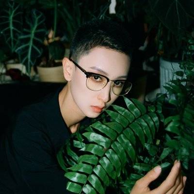 胶片模特