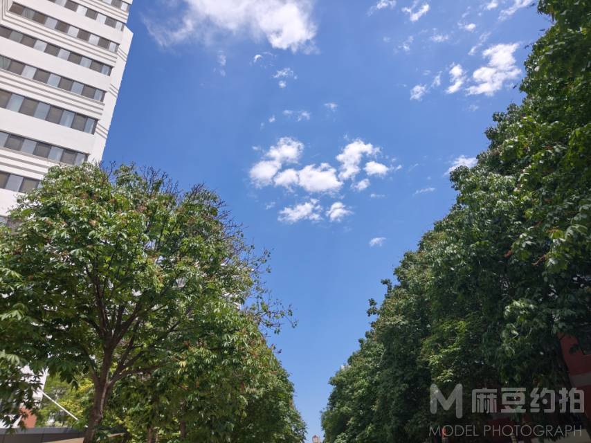 校园模特