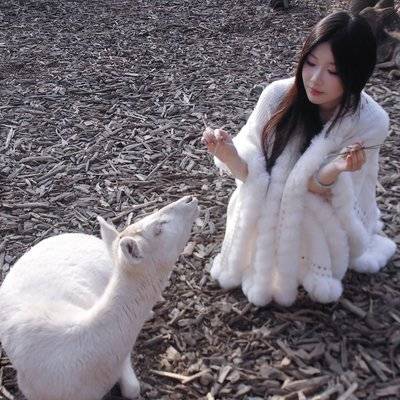 胶片模特