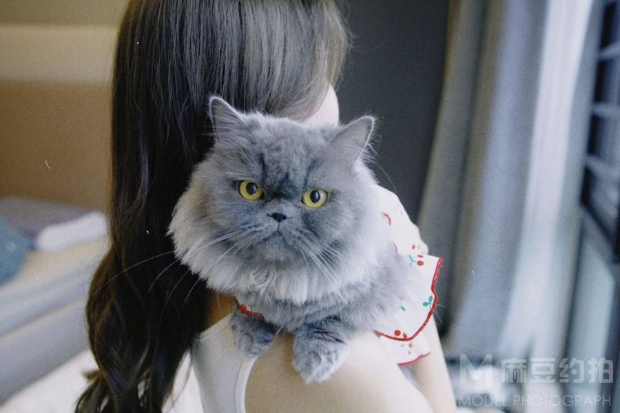 胶片模特