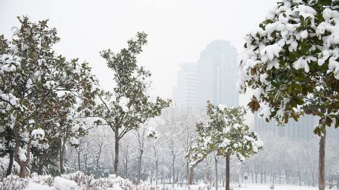 郑州之林 雪景版