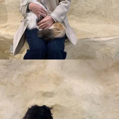 复古模特