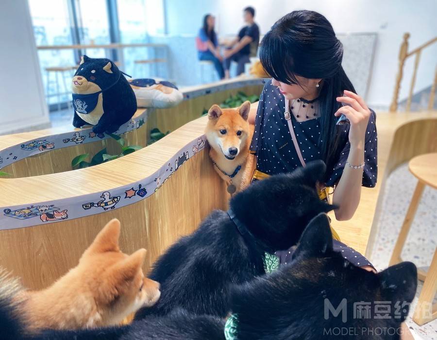 时尚模特
