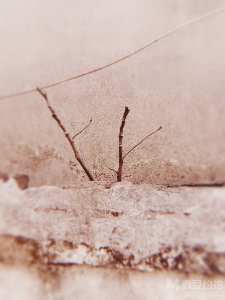 纪实模特
