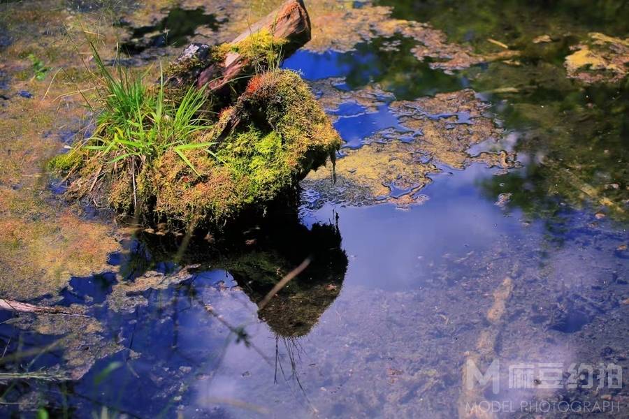 民国模特