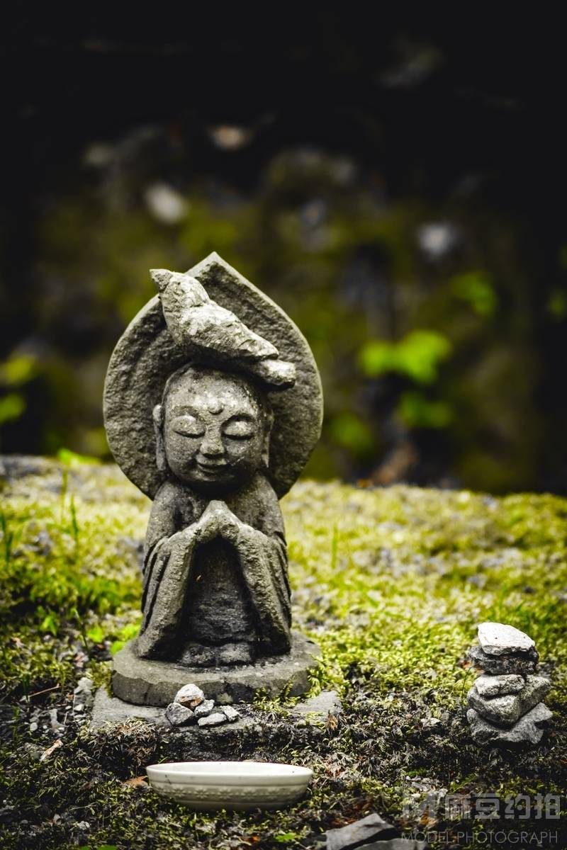 纪实模特
