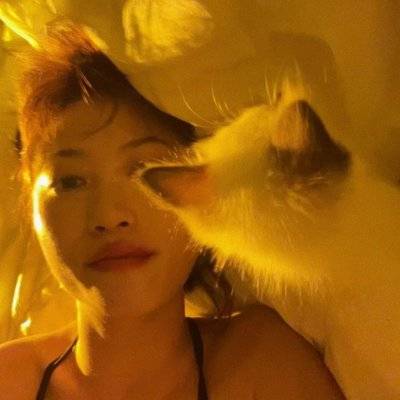 胶片模特