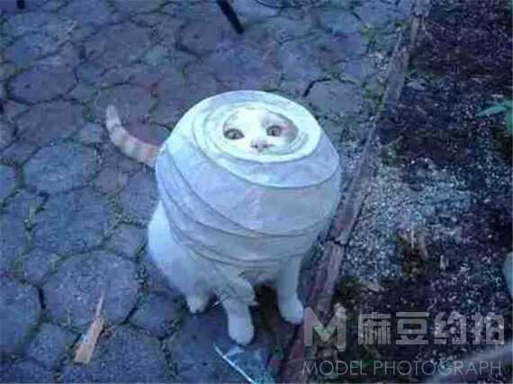 纪实模特