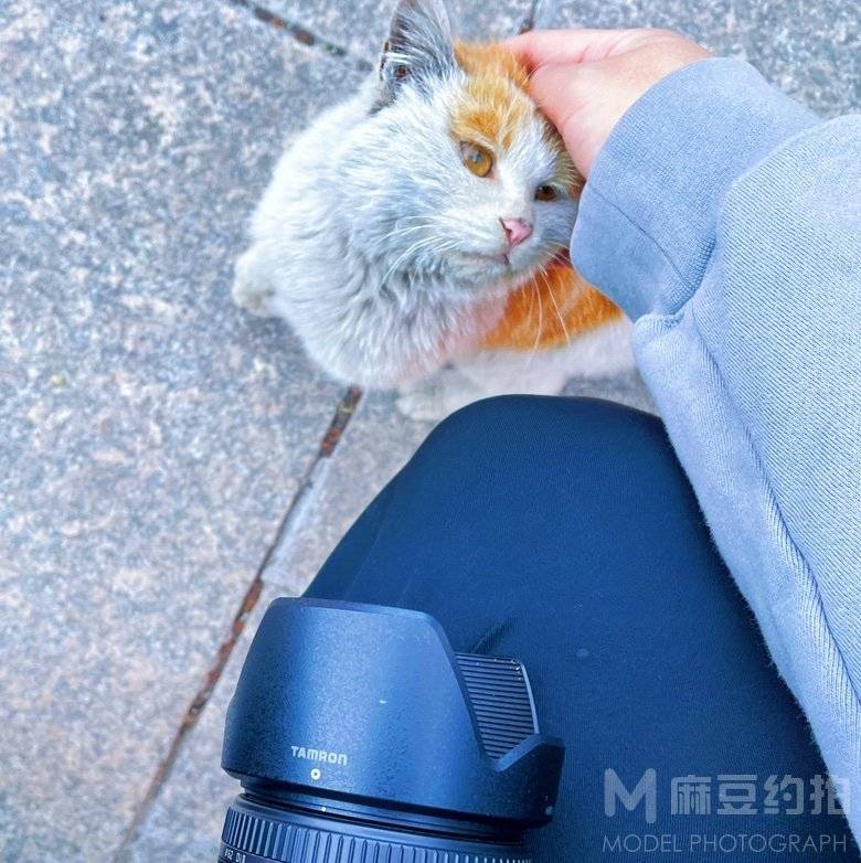 纪实模特
