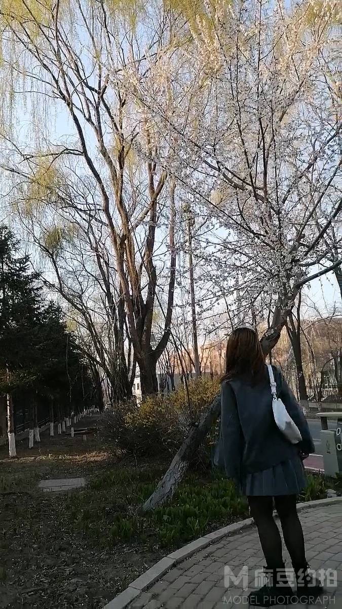 胶片模特