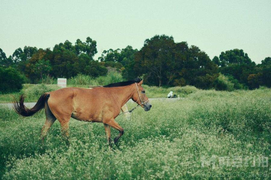 森系模特